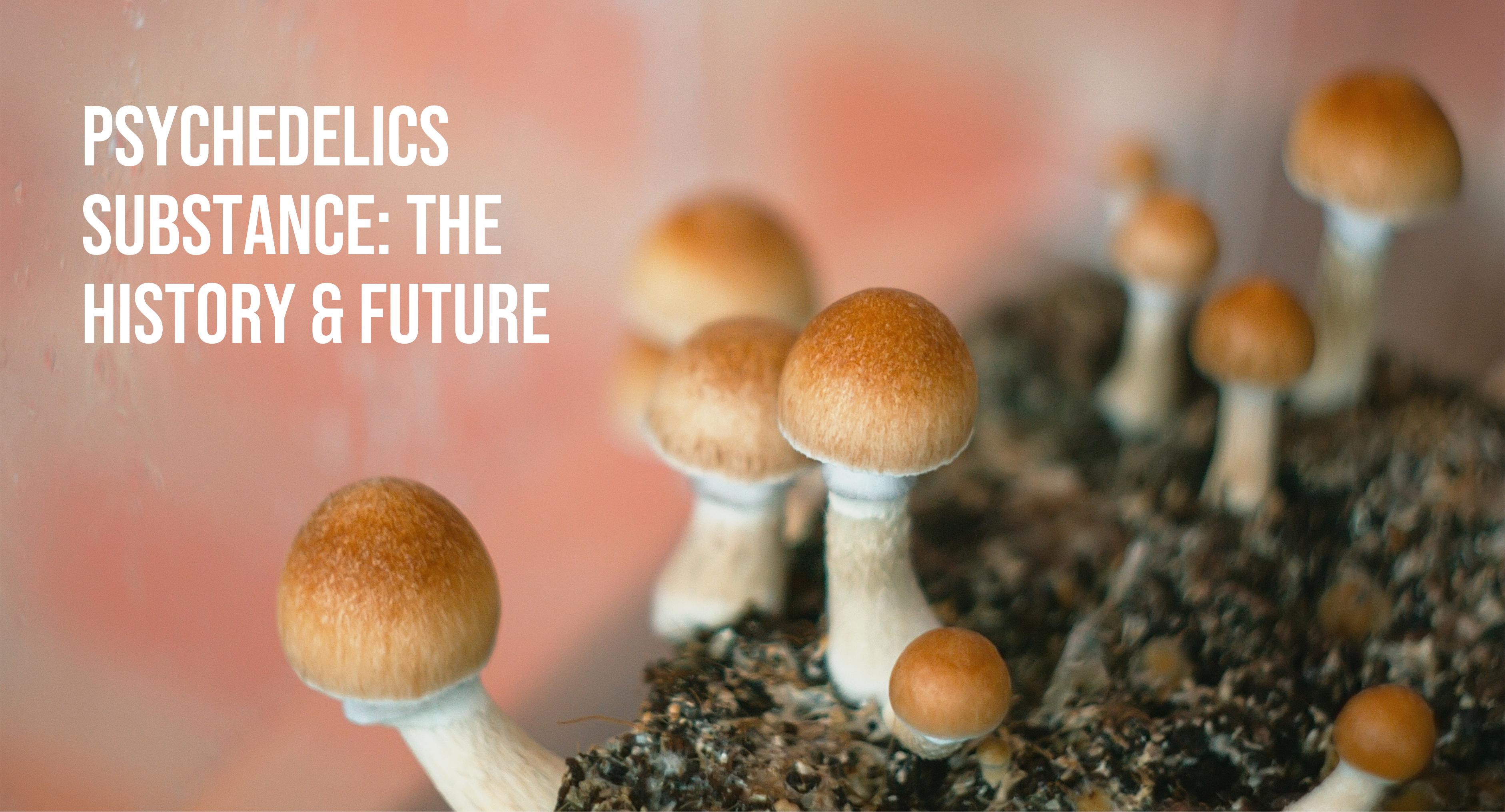 psychedelics research